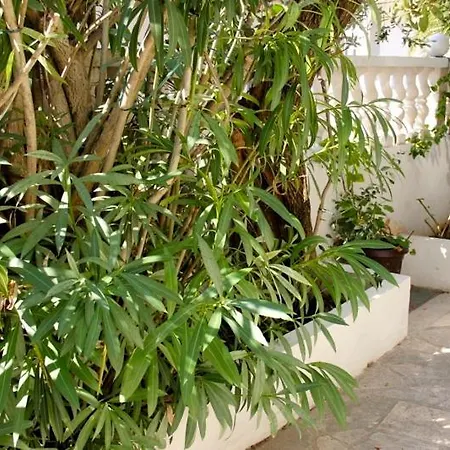 Apartmán Jasmin